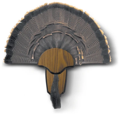 HS STRUT Turkey Tail & Beard Mounting Kit