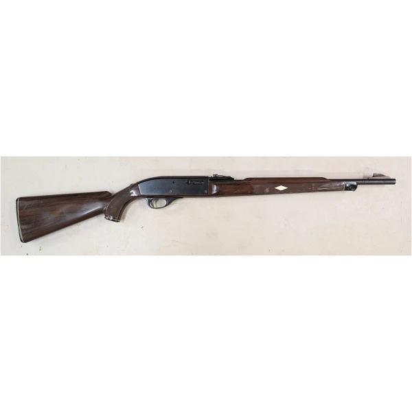 REMINGTON NYLON 66 .22LR