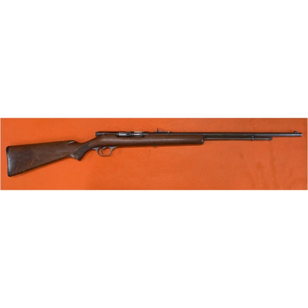 SAVAGE MODEL 64 .22LR