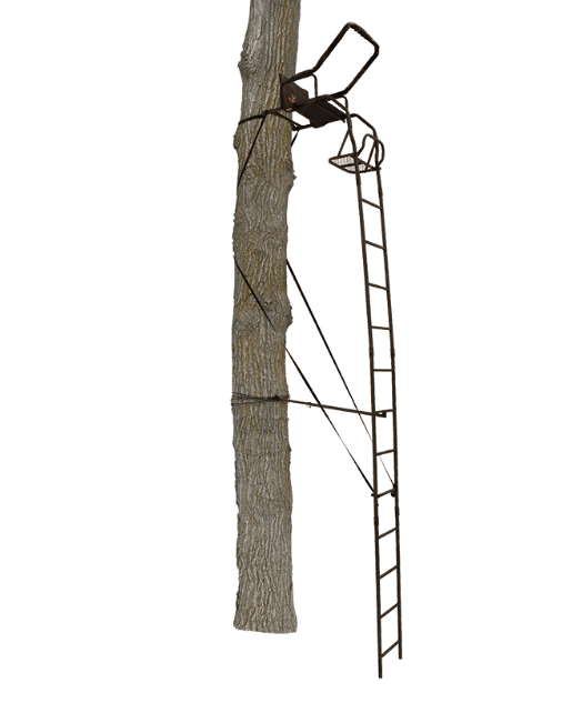 Big Game Warrior DXT Ladderstand - Image 2